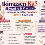 Japanese Negative Questions